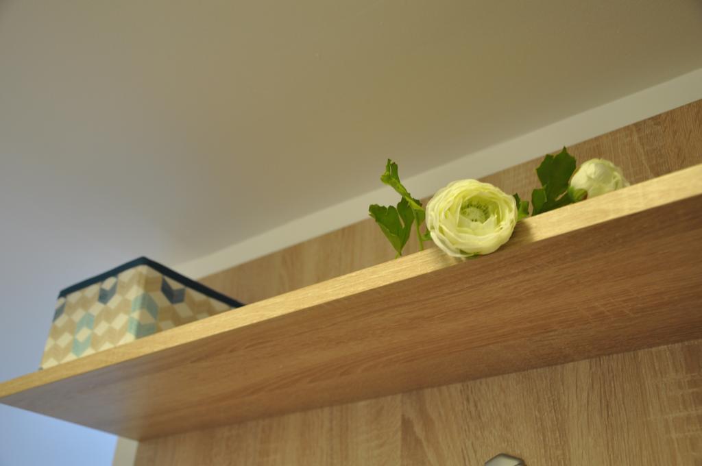 Smp Apartment Timisoara Ngoại thất bức ảnh